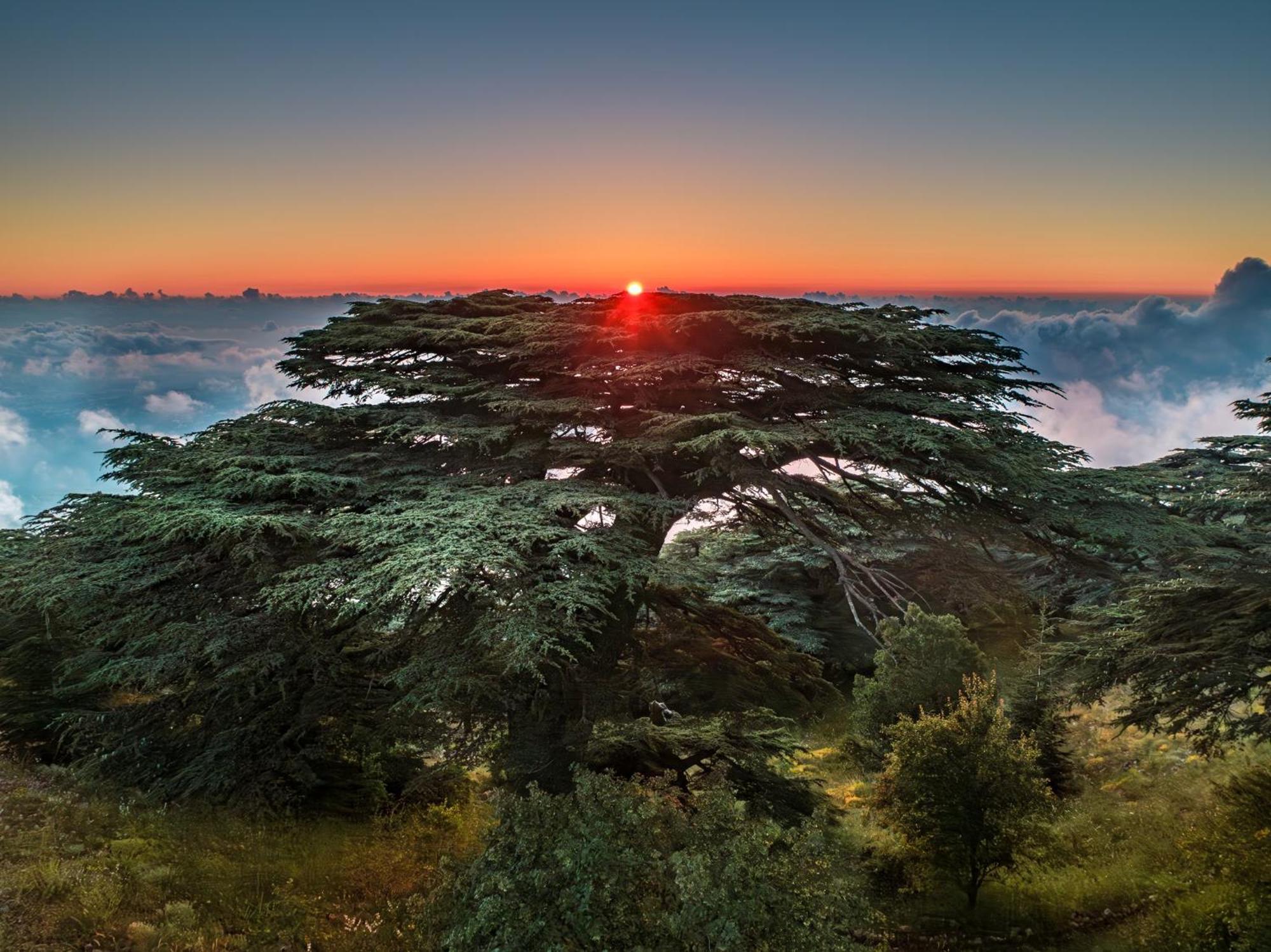 Voco Beirut Central District By Ihg 외부 사진